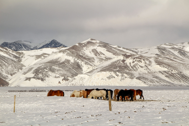 Voyages en Islande - Arlette Gélabert